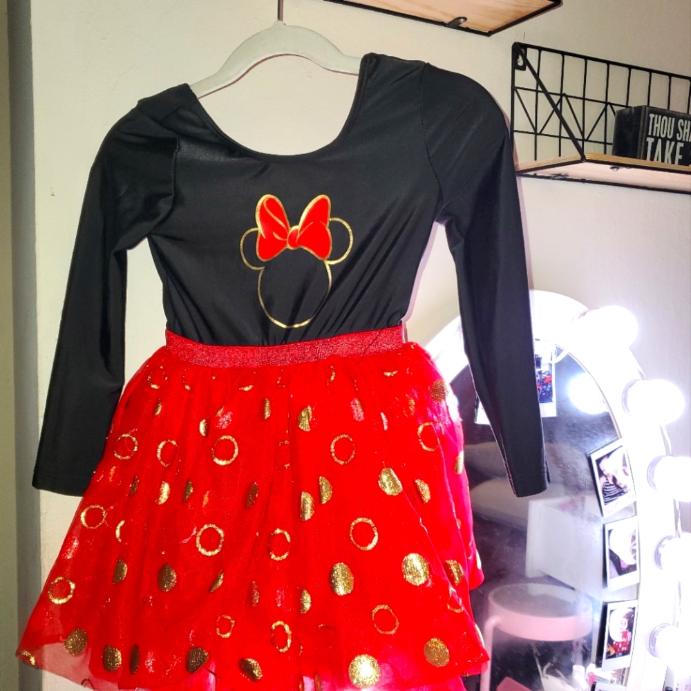 Minnie mouse costume size 2T